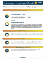 SPANISH - Corrective Recommendations for Care (Form B)