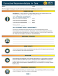 Corrective Recommendations for Care (Form B)