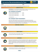 Corrective Recommendations for Care (Form B)