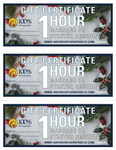 Massage Coupon - Holiday special 3 1hr massages/stretch